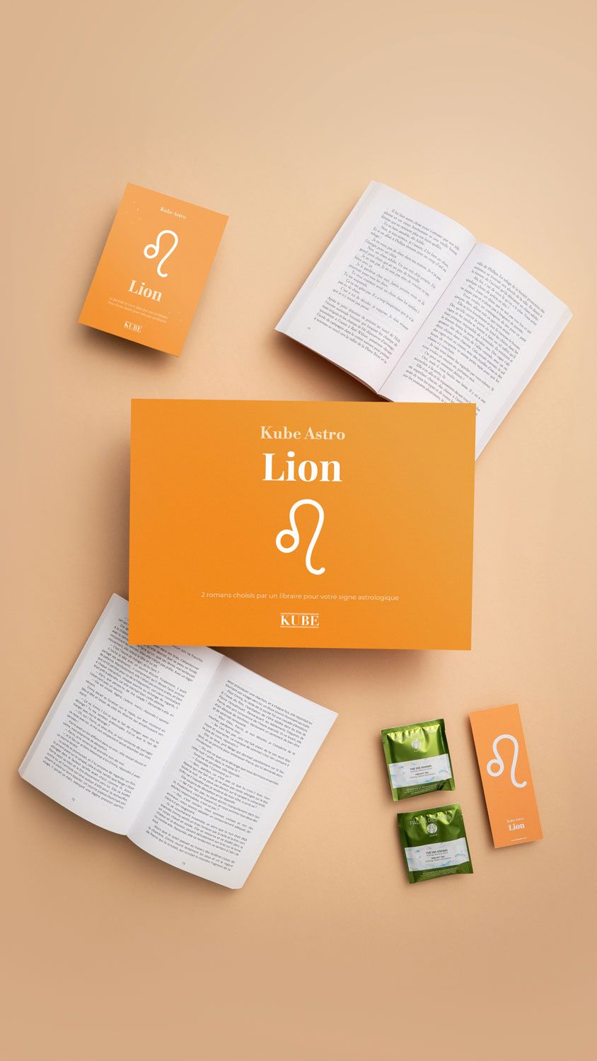 Box Kube Astro Lion et son contenu